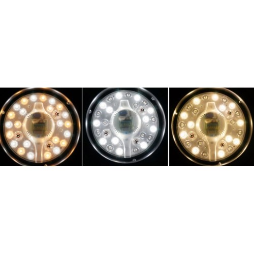 Ventilatore da Soffitto con Luce LED Lampada Lampadario Elettrico Telecomando