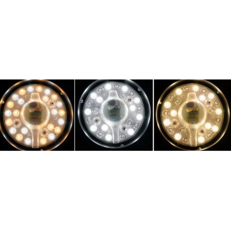 Ventilatore da Soffitto con Luce LED Lampada Lampadario Elettrico Telecomando