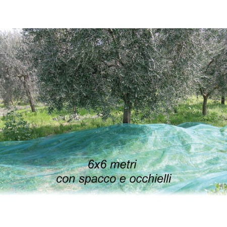 Rete per Raccolta Olive 6x6 metri con Spacco Occhielli Metallo Telo Antispina