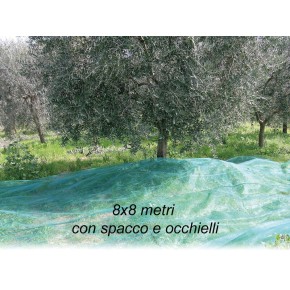 Rete per Raccolta Olive 8x8 mt con Spacco Occhielli Telo Antispina Polietilene