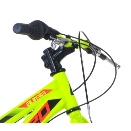 Bicicletta Mountain Bike Ruota 20 Pollici da Ragazzo Uomo Bici 6 Shimano Bambino
