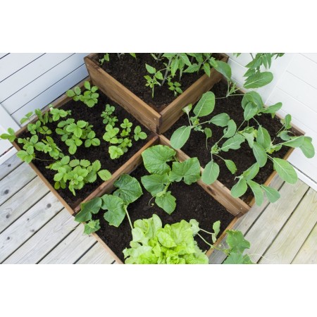 Fioriera 90x90 Orto Rialzato da Balcone Giardino Terrazzo Aiuola Vaso in Legno