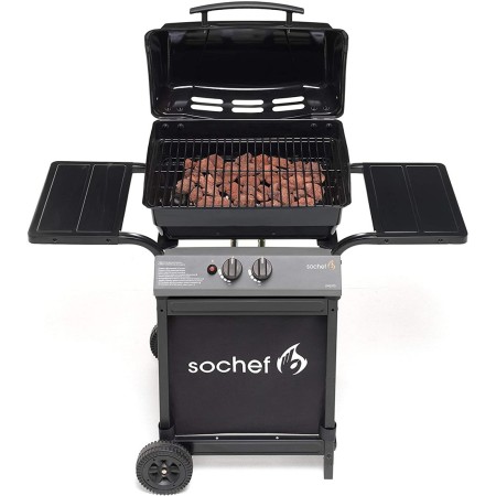 Barbecue a Gas con Pietra Lavica 2 Bruciatori in Acciaio Inox Griglia da Balcone