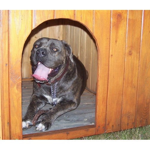 Cuccia per Cane Taglia Media in Legno Tetto con Pavimento Interno uso da Esterno