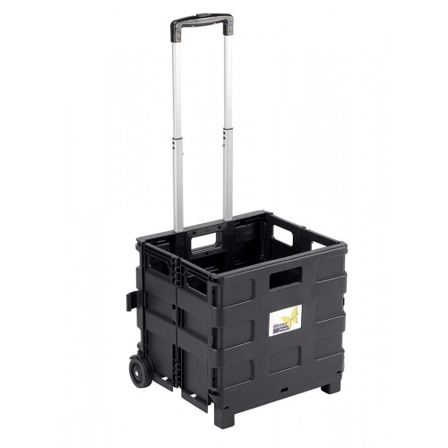 Carrello Pieghevole con Cassa Plastica Porta Spesa Bravetta Trasporto Giardino