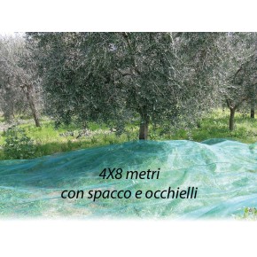 Rete per Raccolta Olive 4x8 metri con Spacco Occhielli Metallo Telo Antispina