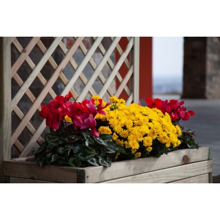 Fioriera con Grigliato 120 Balcone Vaso Spalliera Legno Rettangolare Portavaso
