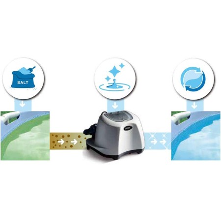 Clorinatore Intex Piscina Sale Automatico 5 g/h Cloro Fuori Terra Antibatterico