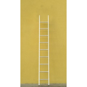 Scala Dritta 8 Gradini in Alluminio da Appoggio Scaletta per Esterno 250cm 2