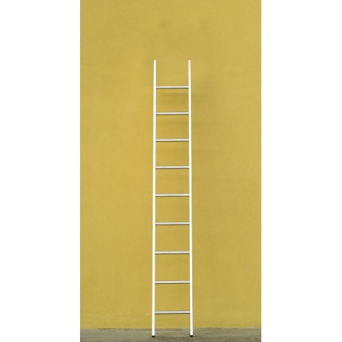 Scala Dritta 8 Gradini in Alluminio da Appoggio Scaletta per Esterno 250cm