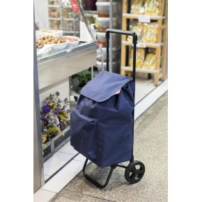 Carrello per Spesa Pieghevole Carrellino con Ruote Impermeabile Blu 2