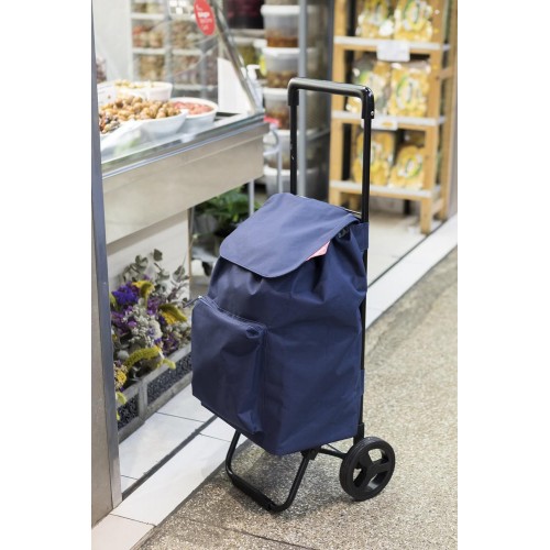 Carrello per Spesa Pieghevole Carrellino con Ruote Impermeabile Blu