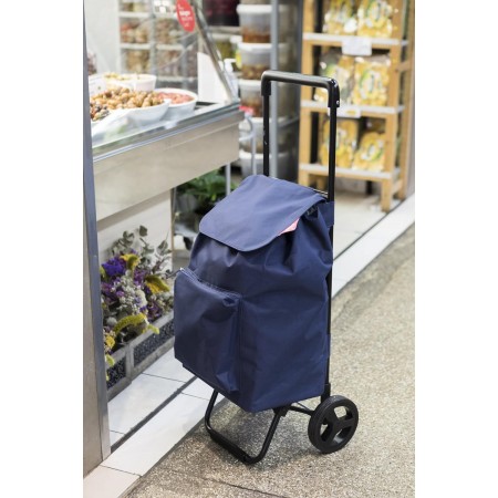 Carrello per Spesa Pieghevole Carrellino con Ruote Impermeabile Blu