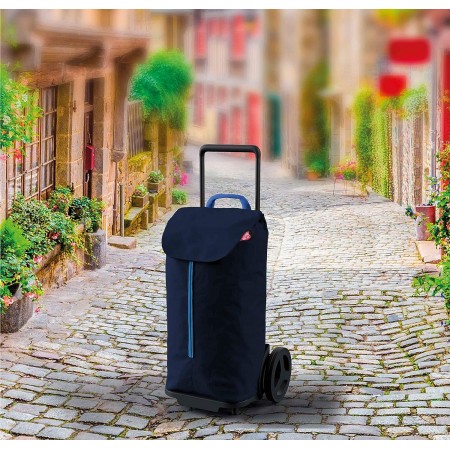 Carrello per Spesa con Sacca da 50 lt Estraibile Carrellino Trasporto