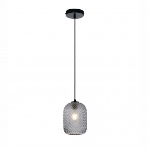 Lampada a Soffitto Grigio Luce in Vetro a Sospensione Elegante da Interno