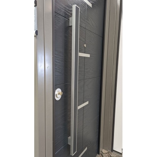 Portone Blindato in Vetroresina con Pannello per Esterno Grigio Porta Blindata