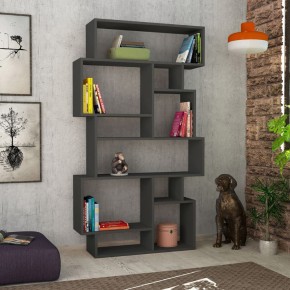Libreria Bifacciale Antracite Moderna Design per Arredamento Interni