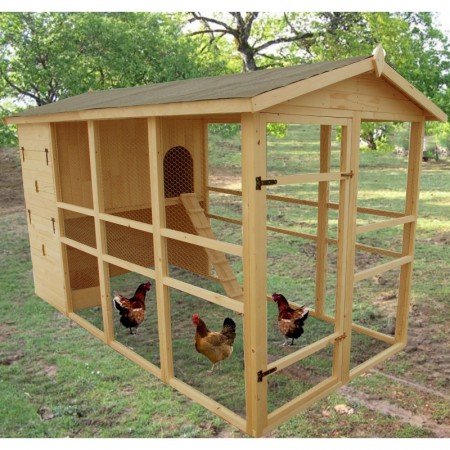Casa Pollaio in Legno 8 12 Polli per Galline Ovaiole Prefabbricato