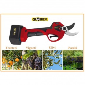 Forbice Elettrica con 2 Batterie per il Giardinaggio 2