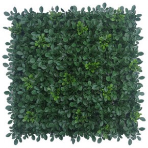 Siepe Artificiale da Parete 50x50 Muschio