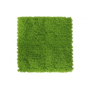 Siepe Artificiale da Parete 50x50 Muschio