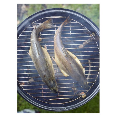 Barbecue Affumicatore a Carbone da Giardino 50x50x106 cm