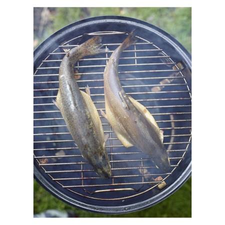 Barbecue Affumicatore a Carbone da Giardino 50x50x106 cm