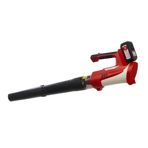 Soffiatore da Giardino a Batteria 21V Senza Spazzole 250W Portatile