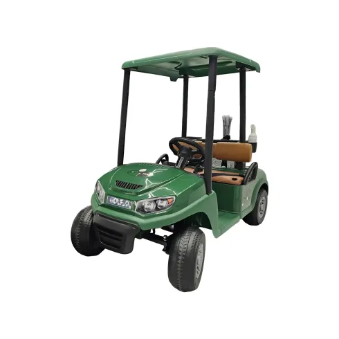 Golf Kart Elettrico Bambini 24V Verde con Palline e Bastoni