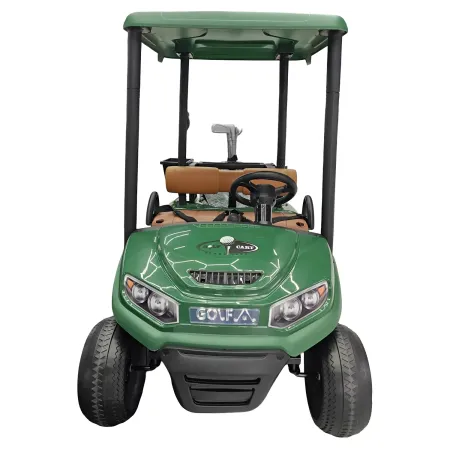Golf Kart Elettrico Bambini 24V Verde con Palline e Bastoni