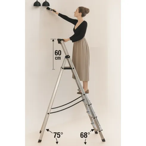 Scala in Alluminio Facal 5 gradini con Piattaforma e Portautensili