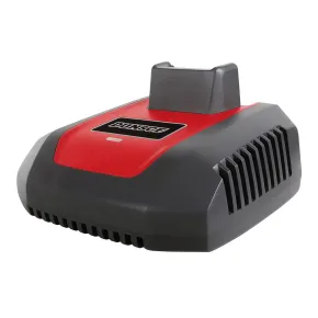 Caricabatterie Rapido 1h 40V con Indicatore LED Spina Europea
