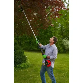 Potatore a Scoppio 32,6 cc Barra 25 cm Asta 2,68 m Professionale 2