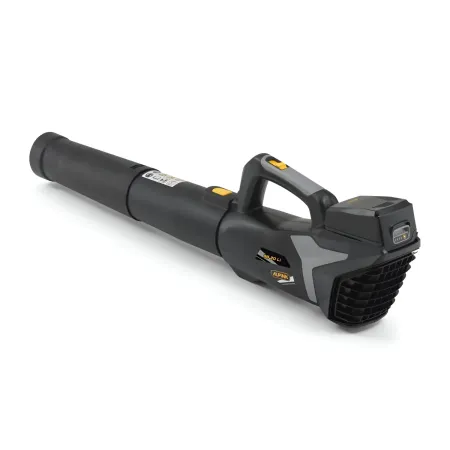Soffiatore a Batteria 20V 4Ah Leggero per Pulizia Giardino Portatile