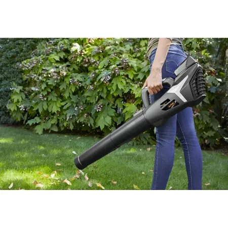 Soffiatore a Batteria 20V 4Ah Leggero per Pulizia Giardino Portatile