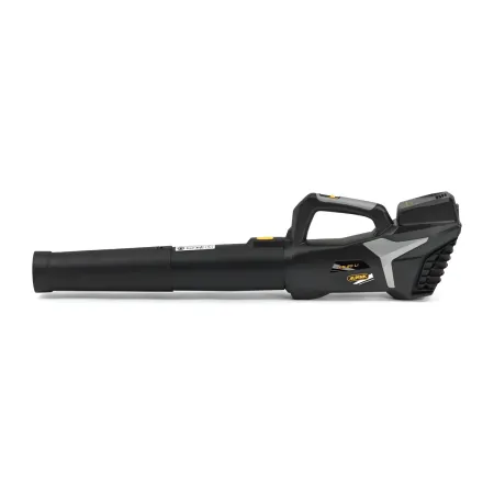Soffiatore a Batteria 20V 4Ah Leggero per Pulizia Giardino Portatile