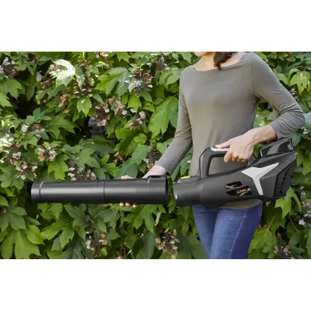 Soffiatore a Batteria 20V 4Ah Leggero per Pulizia Giardino Portatile