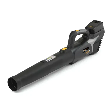 Soffiatore a Batteria 20V 4Ah Leggero per Pulizia Giardino Portatile