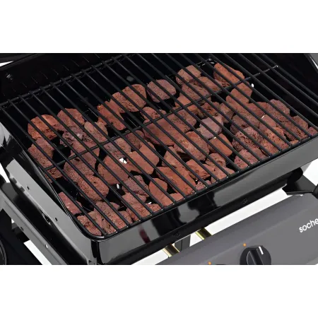 Barbecue a Gas con Pietra Lavica 2 Bruciatori in Acciaio Fornello Griglia BBQ