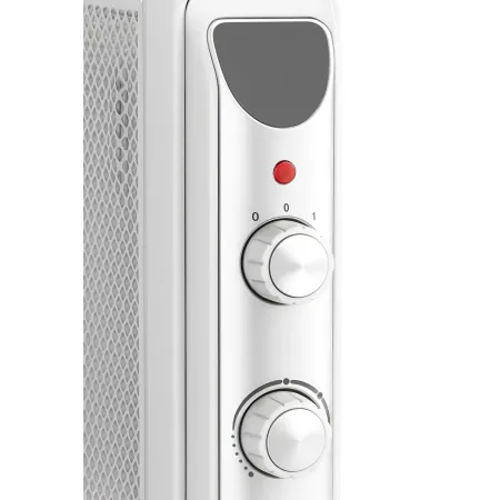 Radiatore Elettrico Potenza Regolabile 1000-1500 W Pannello in Mica Bianco
