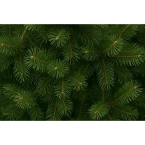 Albero di Natale Alto 270 cm Pino Verde Folto Senza Addobbi 2