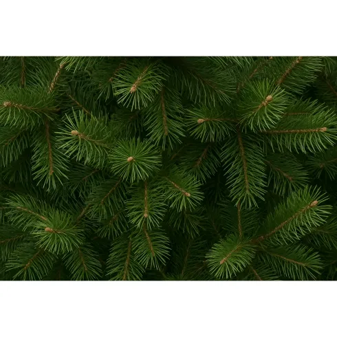 Albero di Natale Alto 270 cm Pino Verde Folto Senza Addobbi