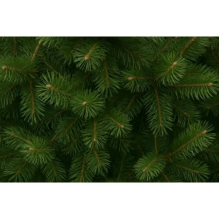 Albero di Natale Alto 270 cm Pino Verde Folto Senza Addobbi