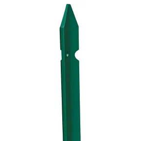 10 Paletti 125 cm per Recinzione in Ferro Plastificato Verde