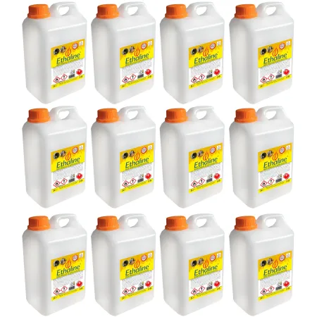 Combustibile Bioetanolo 12 Taniche 2L per Biocamini e Biostufe Inodore