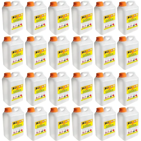 Combustibile Bioetanolo 24 Taniche 2L per Biocamini e Biostufe Inodore