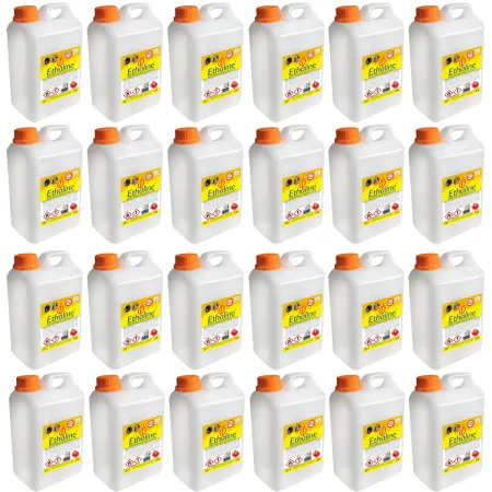 Combustibile Bioetanolo 24 Taniche 2L per Biocamini e Biostufe Inodore
