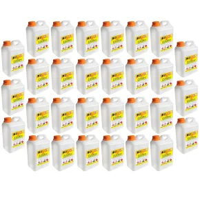 Combustibile Bioetanolo 30 Taniche 2L per Biocamini e Biostufe Inodore