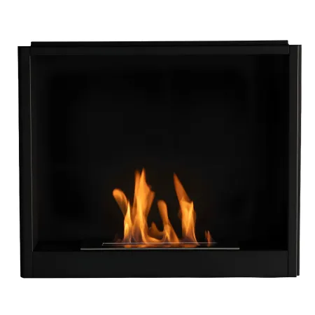 Inserto Camino TAGU FreeFlame a Bioetanolo Fiamma Libera