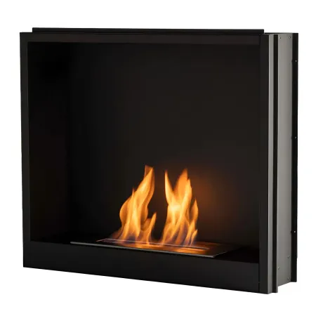 Inserto Camino TAGU FreeFlame a Bioetanolo Fiamma Libera